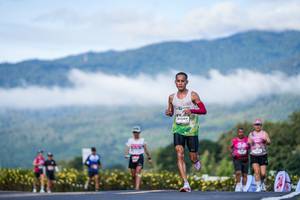 BIB: 
                            <button type="button" onclick="openModal(26542564)" class="btn btn-primary btn-sm float-right btn-popup" data-toggle="modal" data-target=".modal-high-quality">
                        <i class="fas fa-shopping-cart"></i> Add to Cart
                    </button>
                                            <button type="button" onclick="isThisMe(26542564, true)" class="btn btn-success btn-sm float-right btn-popup btn-isme hidden" data-toggle="tooltip" data-placement="bottom" title="นี่คือรูปของคุณใช่ไหม คลิกที่นี่เพื่อเอาเข้าอัลบั้ม">
                        <i class="fas fa-plus"></i> Add to album
                    </button>
                    <button type="button" onclick="isThisMe(26542564, false)" class="btn btn-warning btn-sm float-right btn-popup btn-isnotme hidden">
                        <i class="fas fa-ban"></i> Remove from album
                    </button>